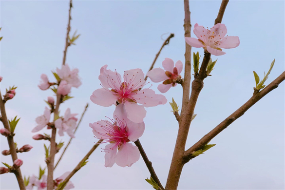 电子流量计知识大全